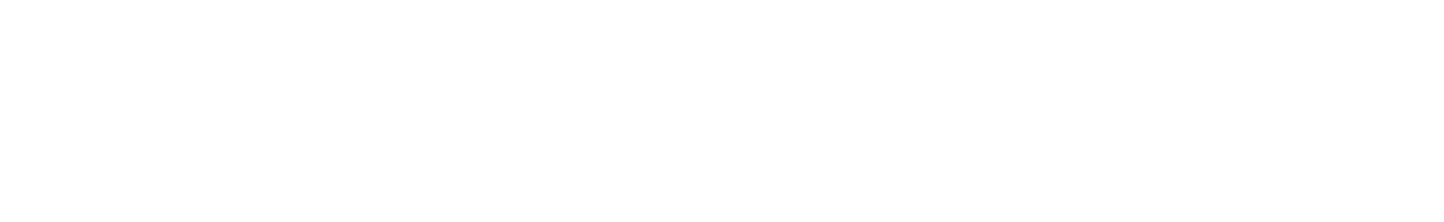 Next Level Powersports logo